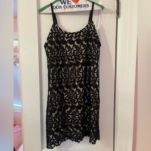 Lace Alice + Olivia Dress